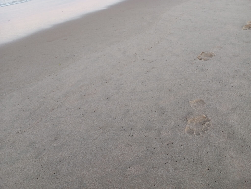 Tofo Mosambikissa, kuvassa jalanjälkiä hiekassa.