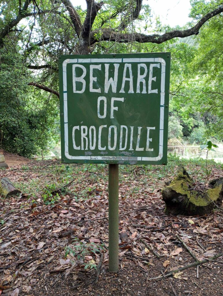Varo krokotiilia Eswatinissa.